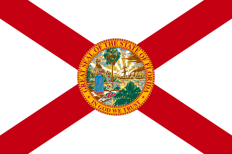 State of Florida representation for Sunbeam Community Development Corporation